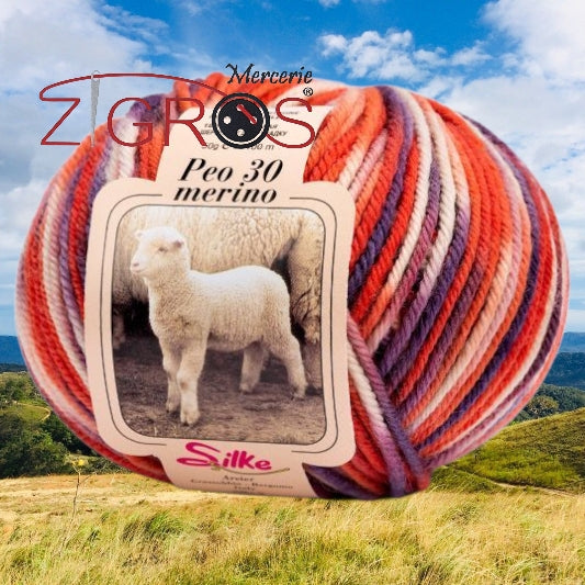 Peo Color 100% Pura Lana Merino GR. 50 MT. 100