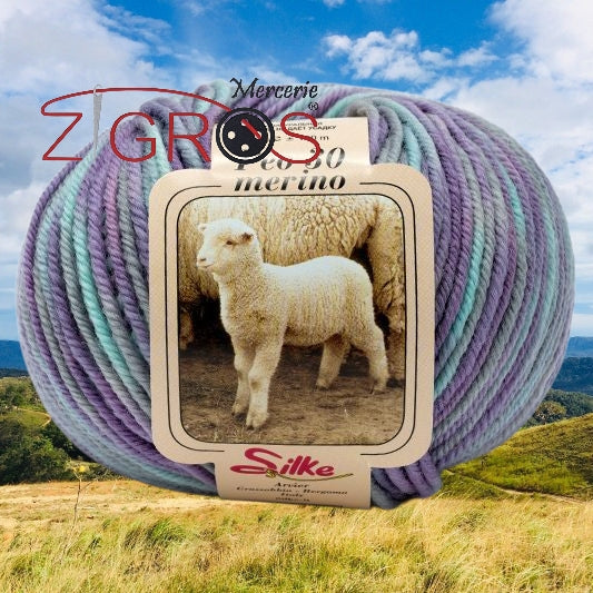 Peo Color 100% Pura Lana Merino GR. 50 MT. 100