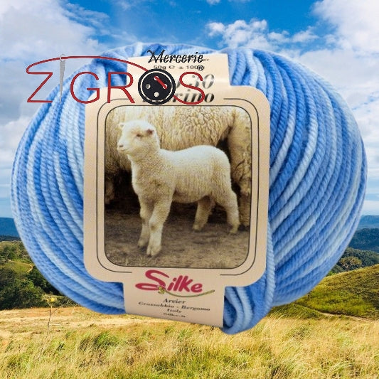 Peo Color 100% Pura Lana Merino GR. 50 MT. 100