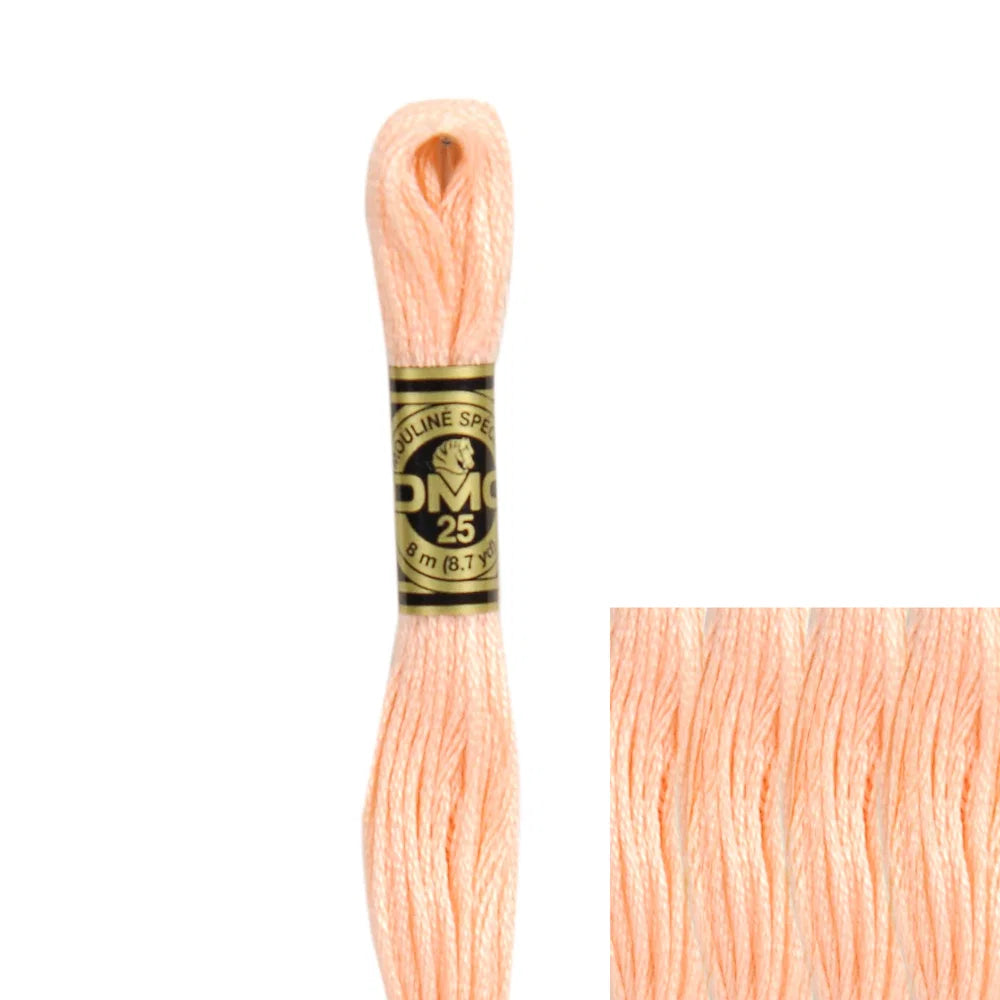 REF. 117MC FILO DA RICAMO MOULINÉ SPÉCIAL DMC - 8MT