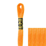 REF. 117MC FILO DA RICAMO MOULINÉ SPÉCIAL DMC - 8MT