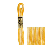 REF. 117MC FILO DA RICAMO MOULINÉ SPÉCIAL DMC - 8MT