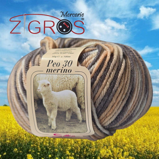 Peo Color 100% Pura Lana Merino GR. 50 MT. 100