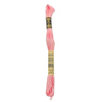 REF. 117MC FILO DA RICAMO MOULINÉ SPÉCIAL DMC - 8MT