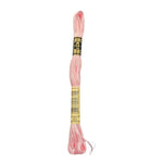 REF. 117MC FILO DA RICAMO MOULINÉ SPÉCIAL DMC - 8MT