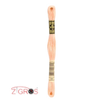 DMC Moulinè, matassine da 8 metri