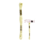 REF. 117MC FILO DA RICAMO MOULINÉ SPÉCIAL DMC - 8MT