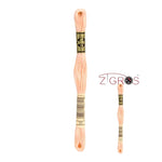 REF. 117MC FILO DA RICAMO MOULINÉ SPÉCIAL DMC - 8MT