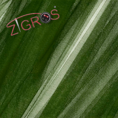 Tulle Morbido Arghezza 280 Cm