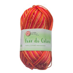 Fior di cotone filo per uncinetto Amigurumi 100% cotone 50 gr SFUMATI