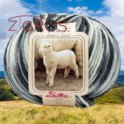 Peo Color 100% Pura Lana Merino GR. 50 MT. 100