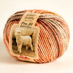 Lana PEO DELAVE’ - Silke